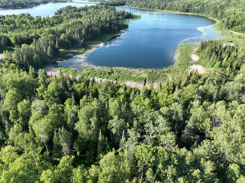 Photo of TBD-3 Christmas Point Road NW, Walker, MN 56484 (MLS # 6753999)