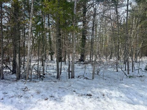 TBD County Road 1 Pine River MN 56474