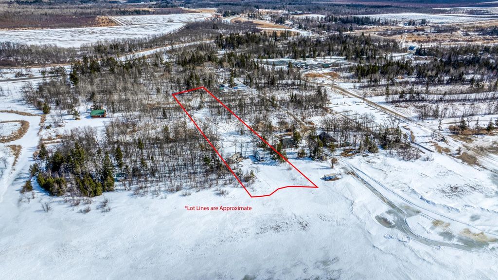 Photo of 25780 Liliput Lane NE, Waskish, MN 56685 (MLS # 7043389)