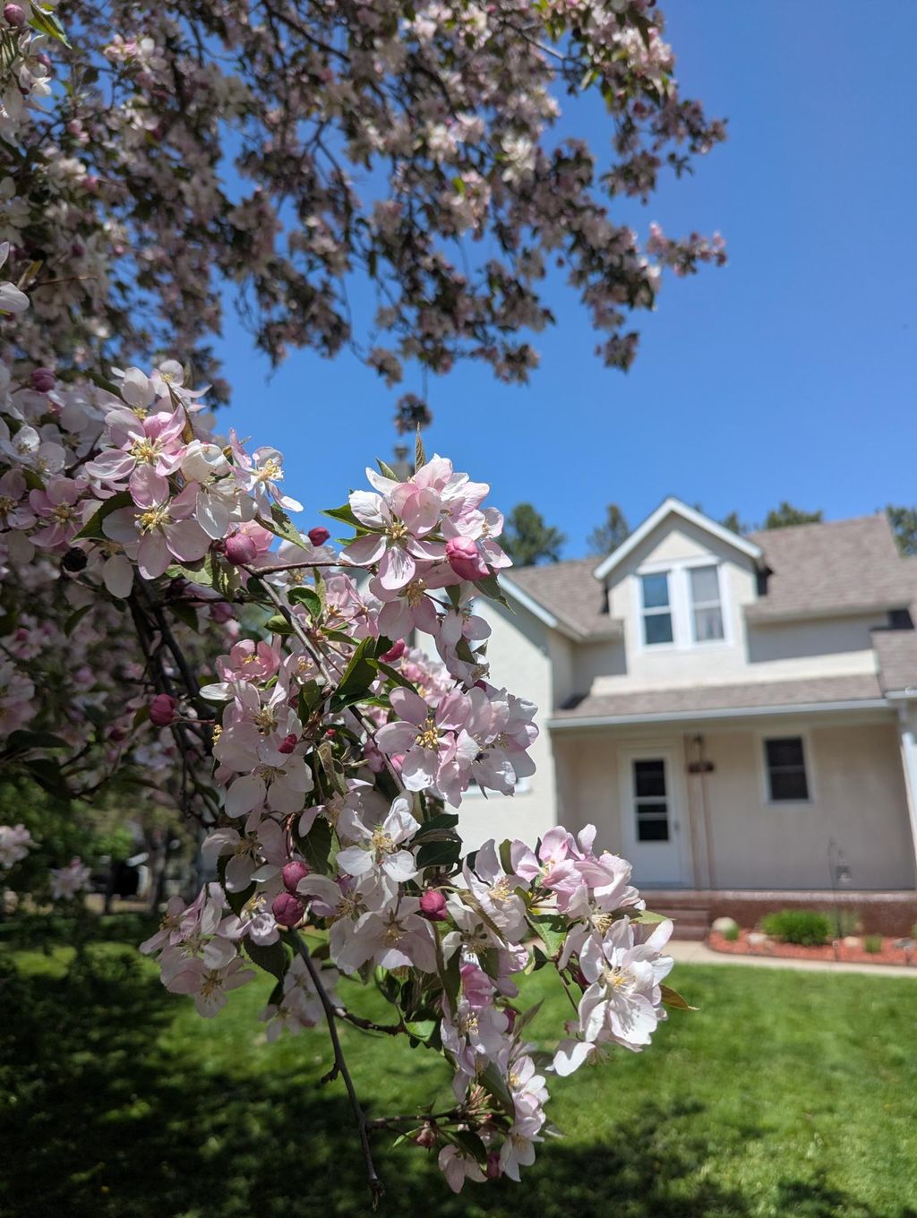 Photo of 111 E Elm Avenue, Upsala, MN 56384 (MLS # 7048711)