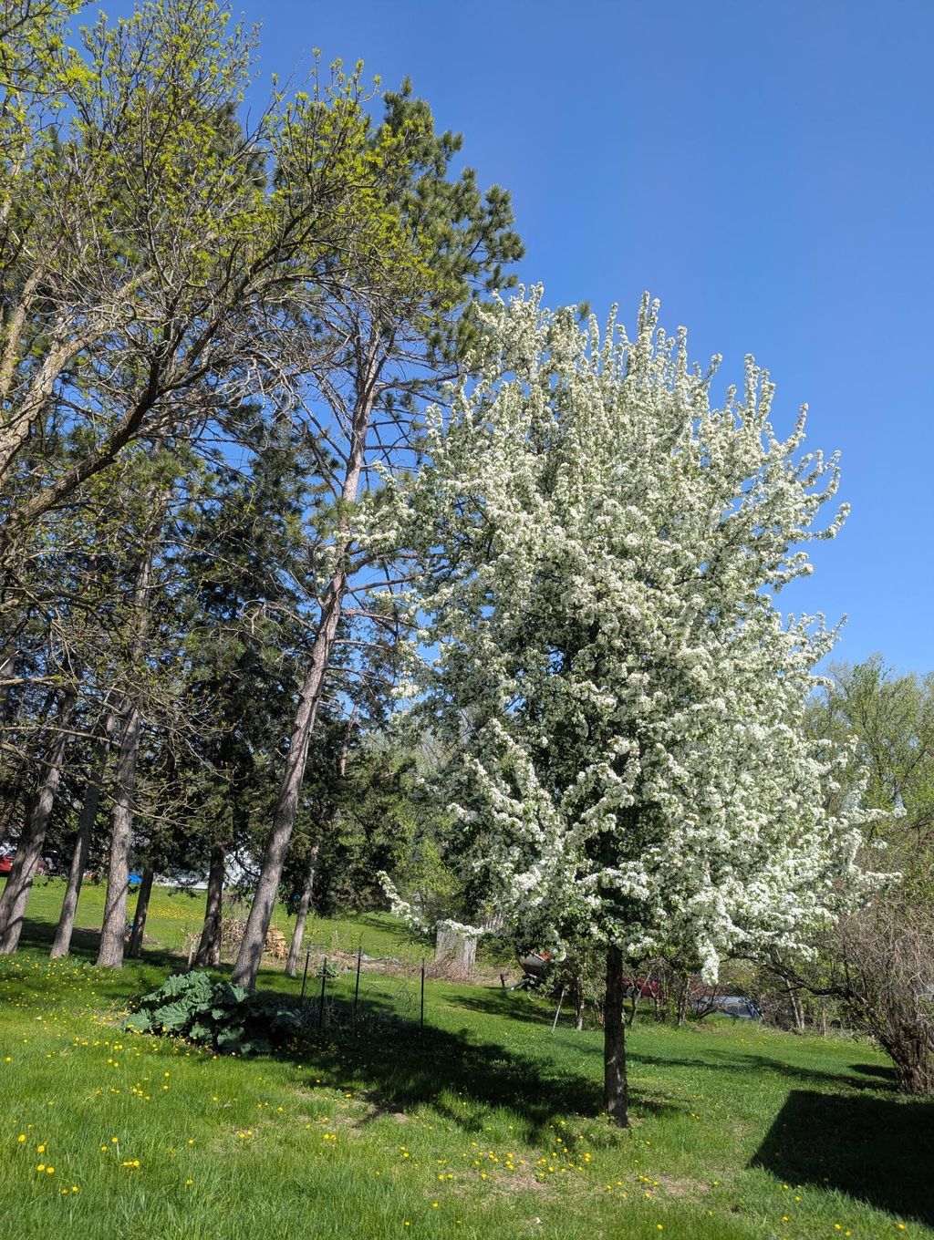 Photo of 111 E Elm Avenue, Upsala, MN 56384 (MLS # 7048711)