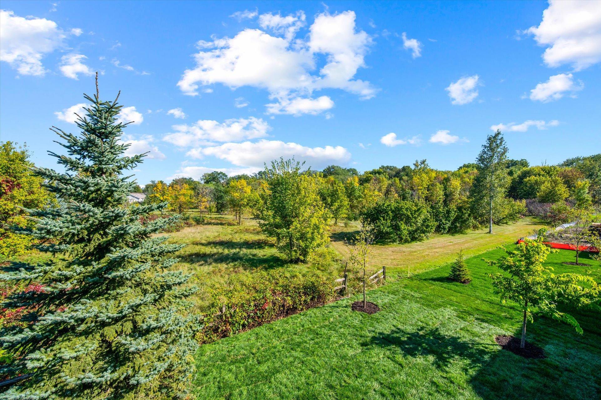 1949 S Lusitano Street