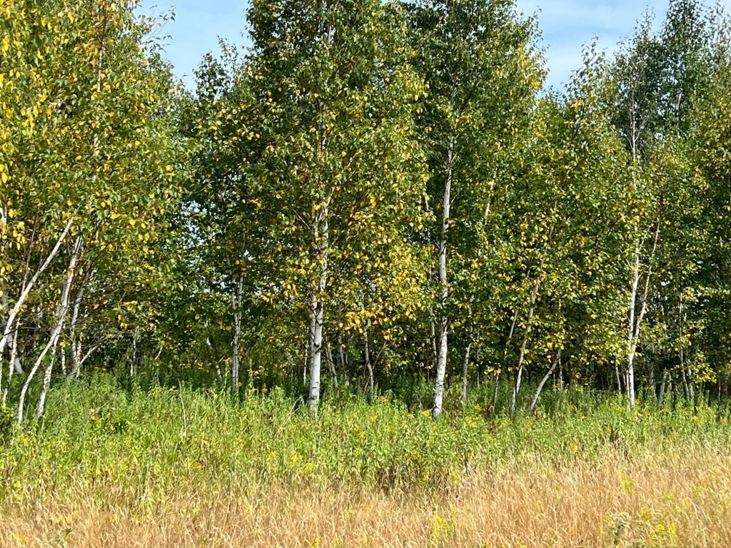 Photo of 00000 State HWY 48, Hinckley, MN 55037 (MLS # 7127865)