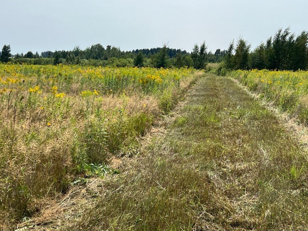 Photo of 00000 State HWY 48, Hinckley, MN 55037 (MLS # 7127865)