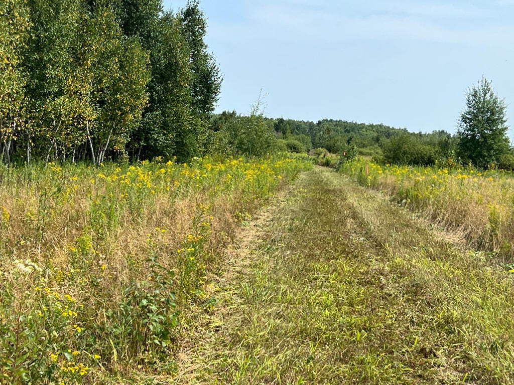 Photo of 00000 State HWY 48, Hinckley, MN 55037 (MLS # 7127865)