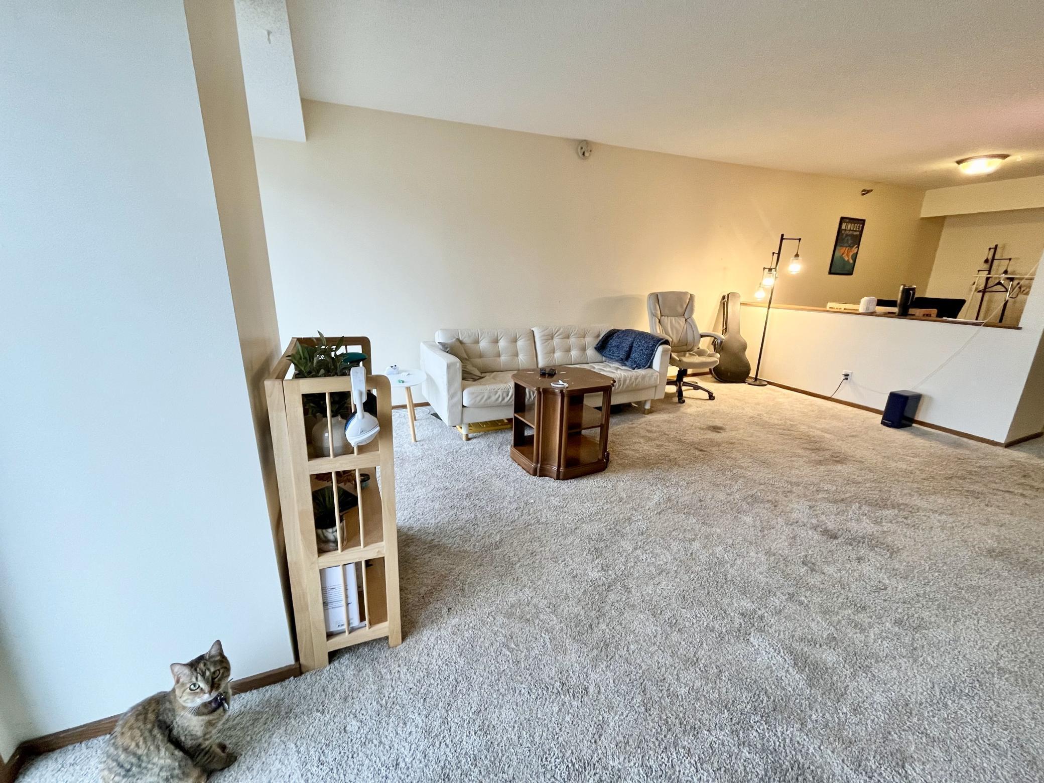 26 10th Street W 1311