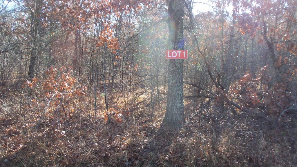 Photo of Lot 1 Ferry Rd, Grantsburg Twp, WI 54840 (MLS # 6821608)