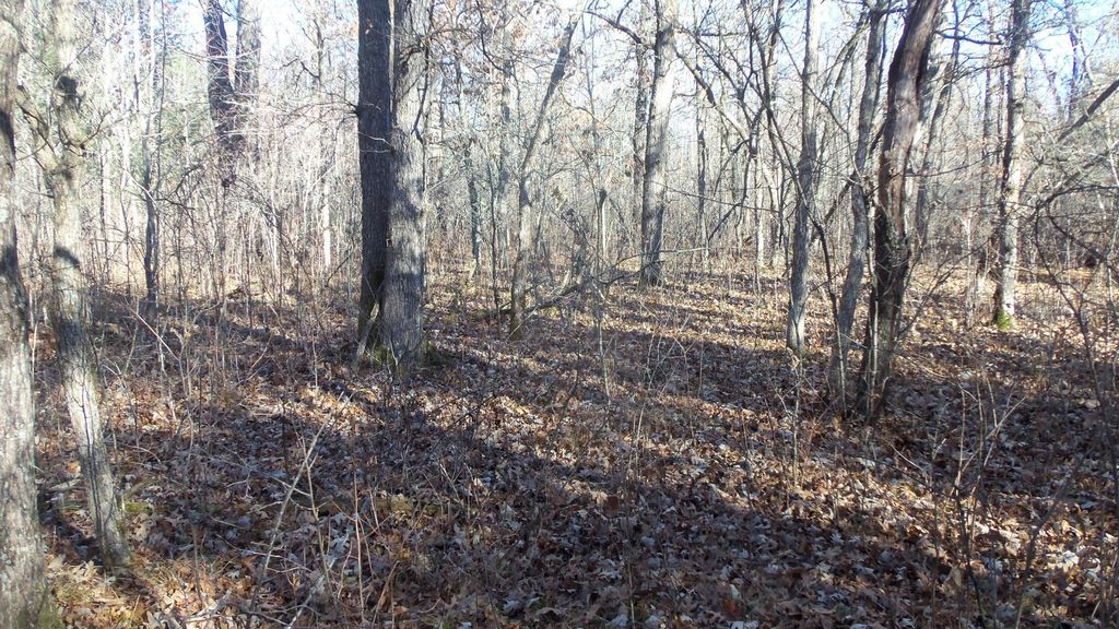 Photo of Lot 1 Ferry Rd, Grantsburg Twp, WI 54840 (MLS # 6821608)