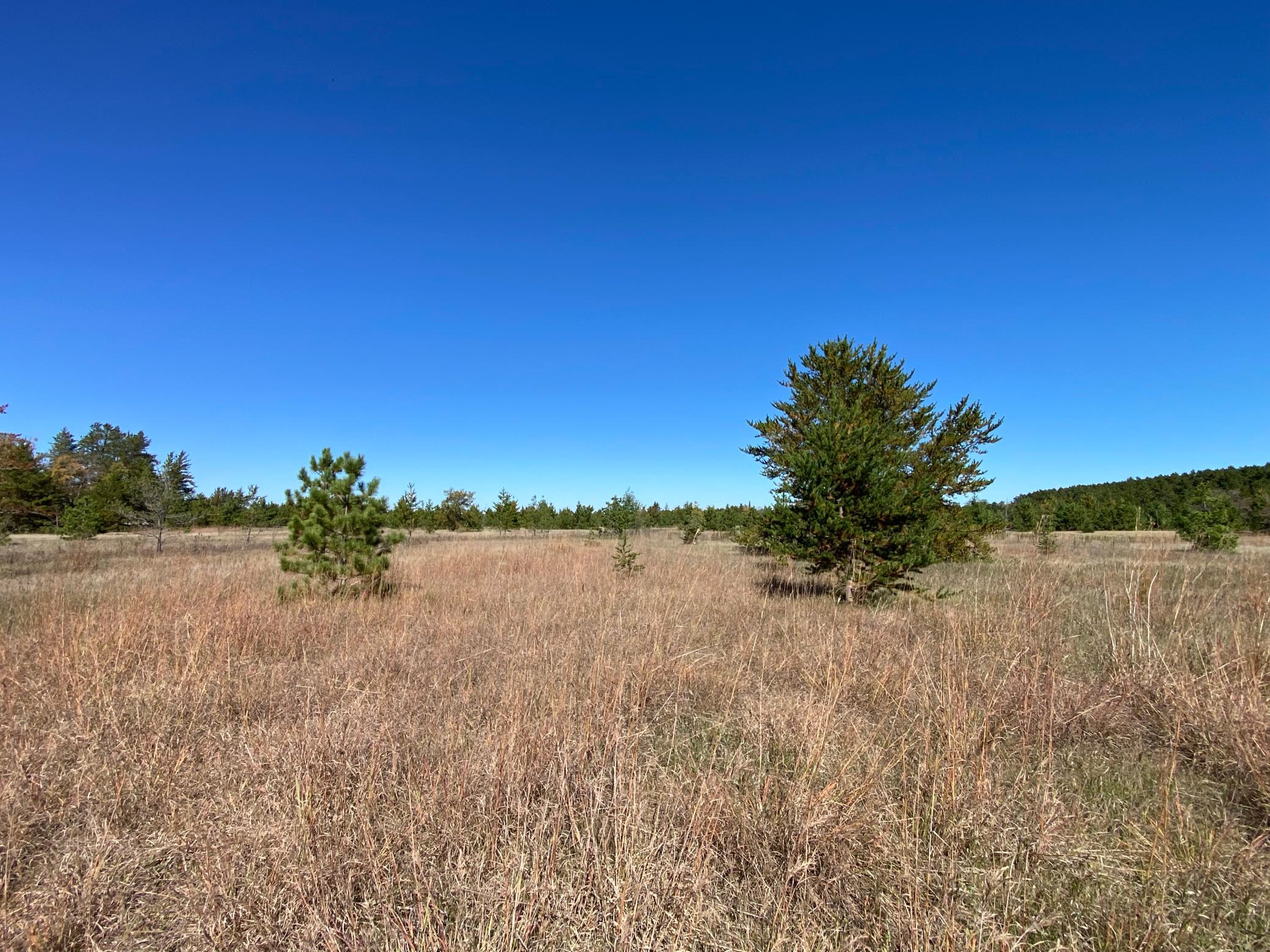 TBD State Hwy 87 - Lot 1