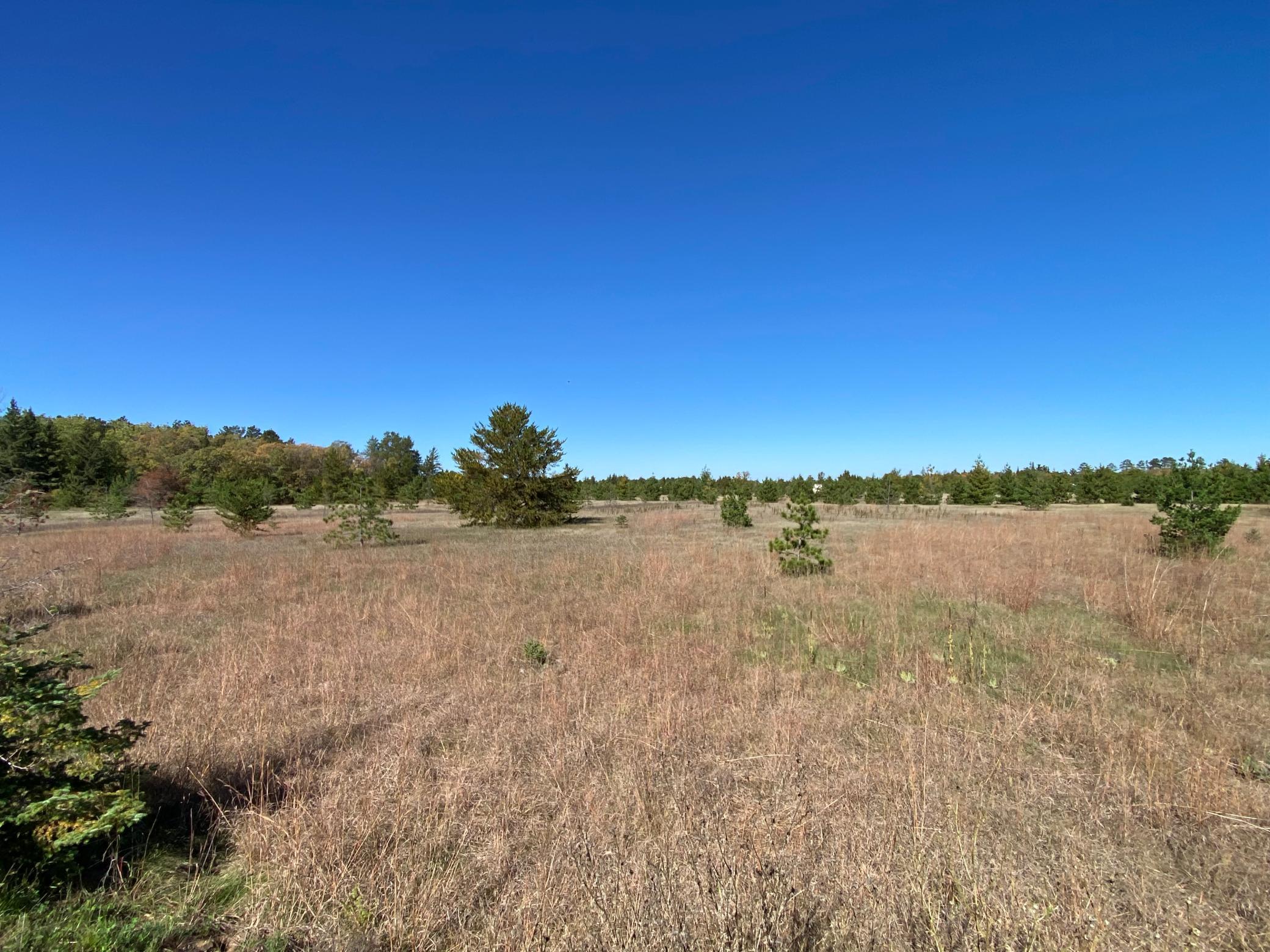 TBD State Hwy 87 - Lot 1