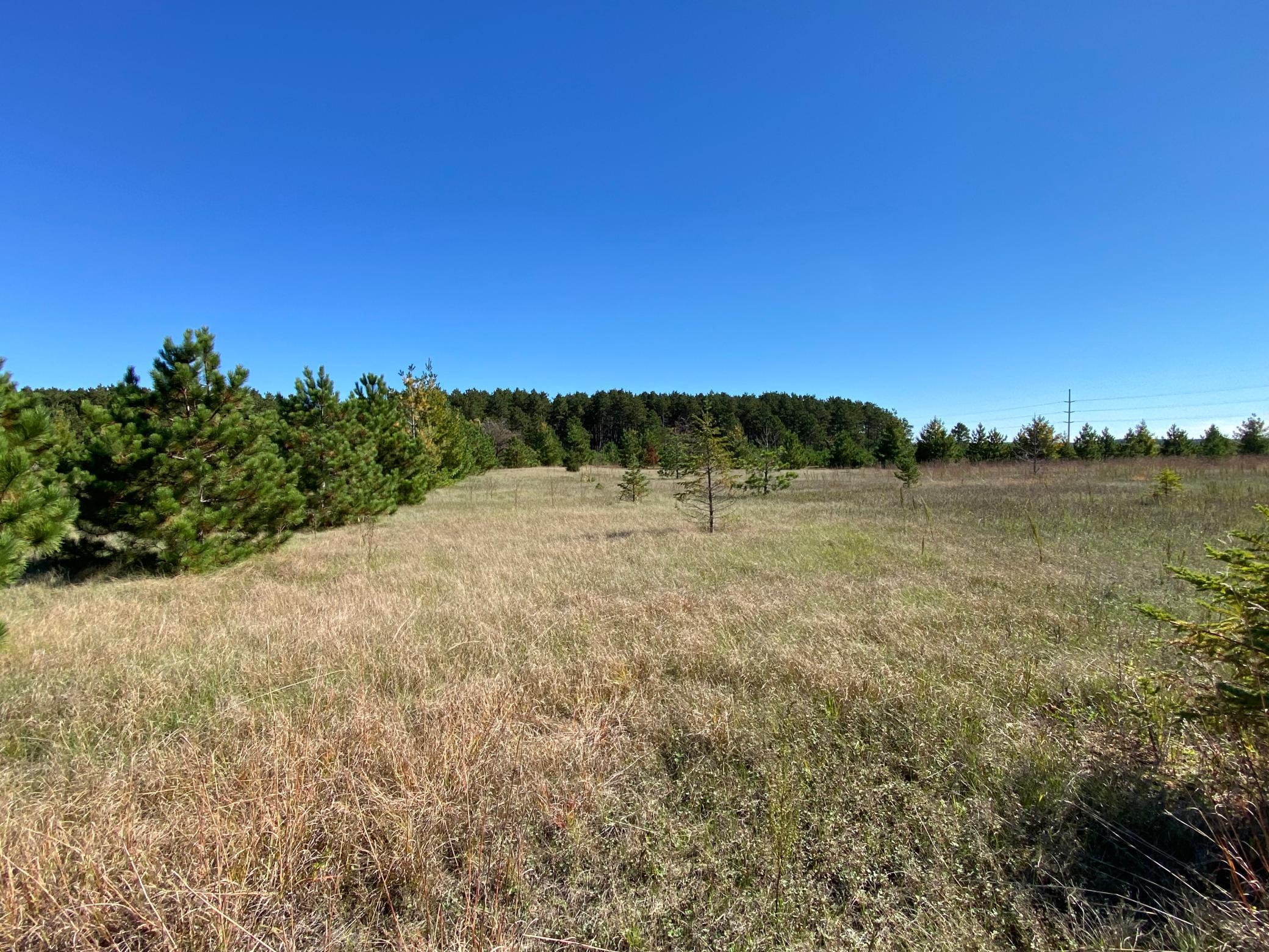 TBD State Hwy 87 - Lot 1