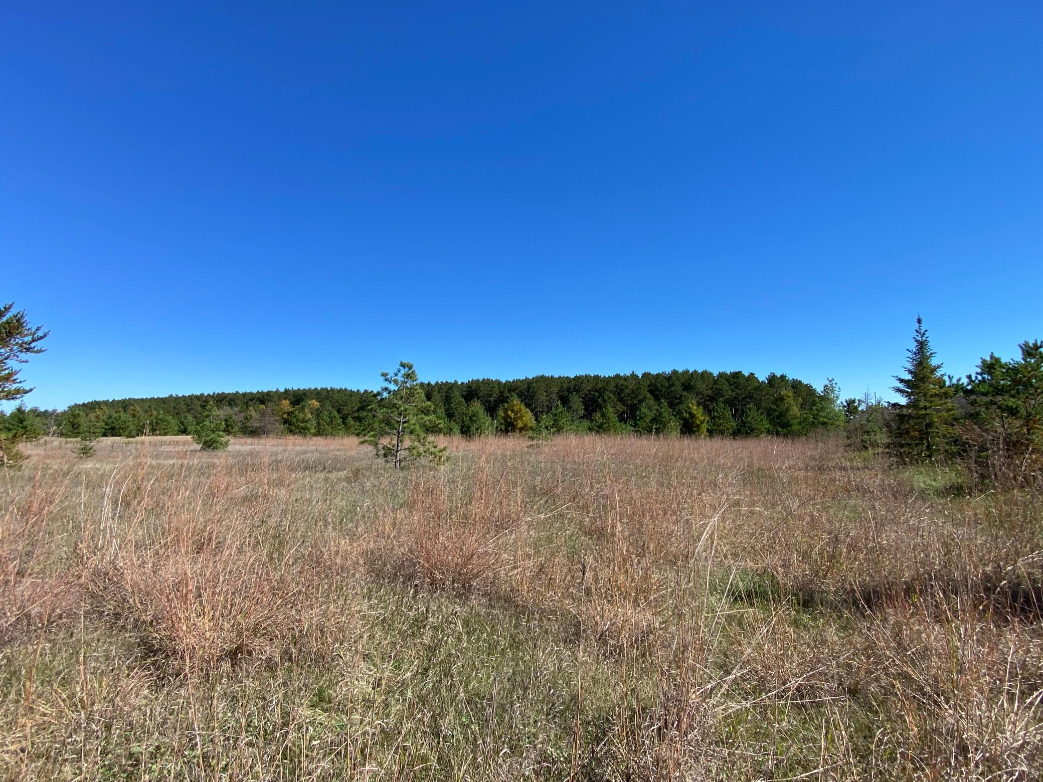 TBD State Hwy 87 - Lot 1