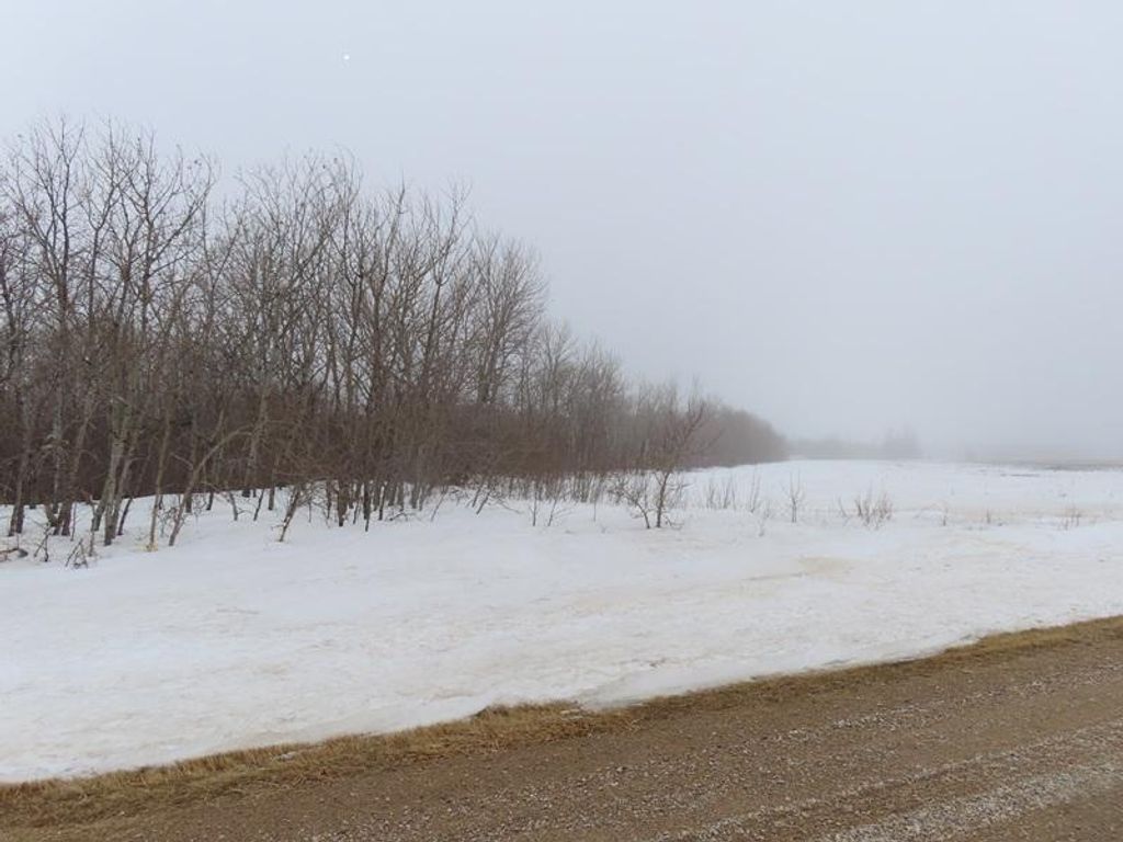 Photo of TBD 180th Street NW, Thief River Falls, MN 56701 (MLS # 7040650)