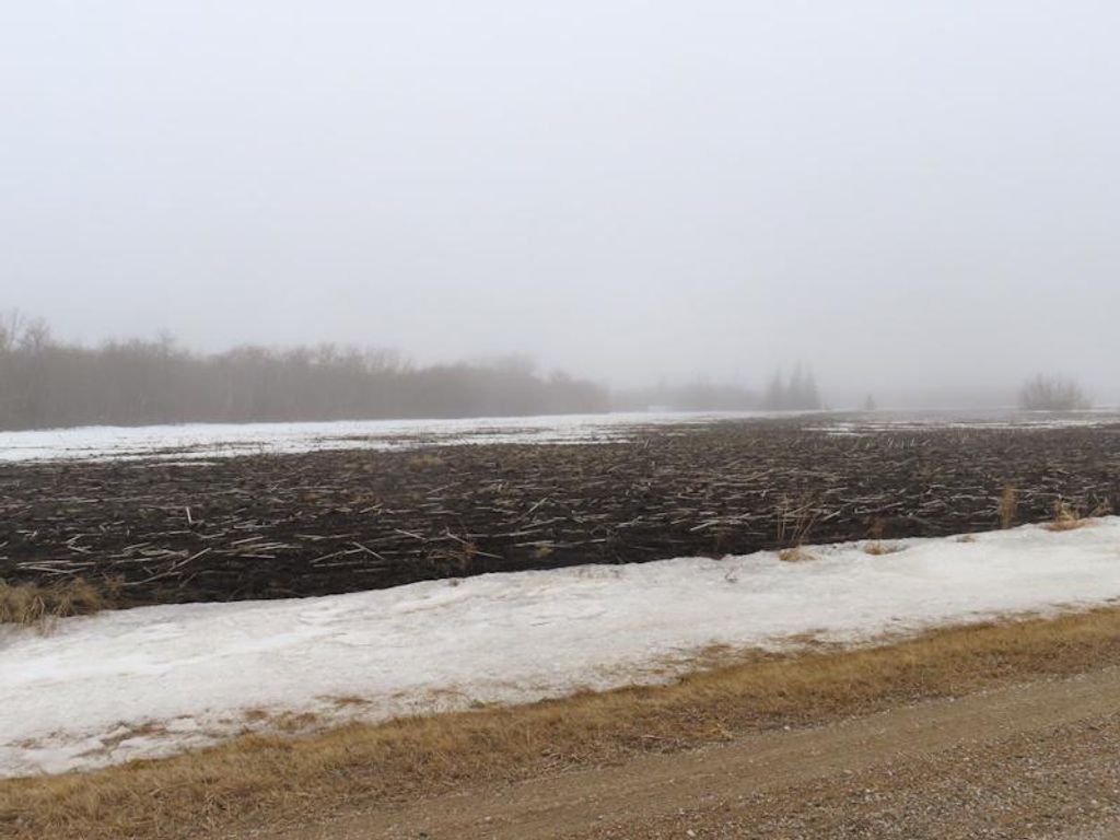 Photo of TBD 180th Street NW, Thief River Falls, MN 56701 (MLS # 7040650)