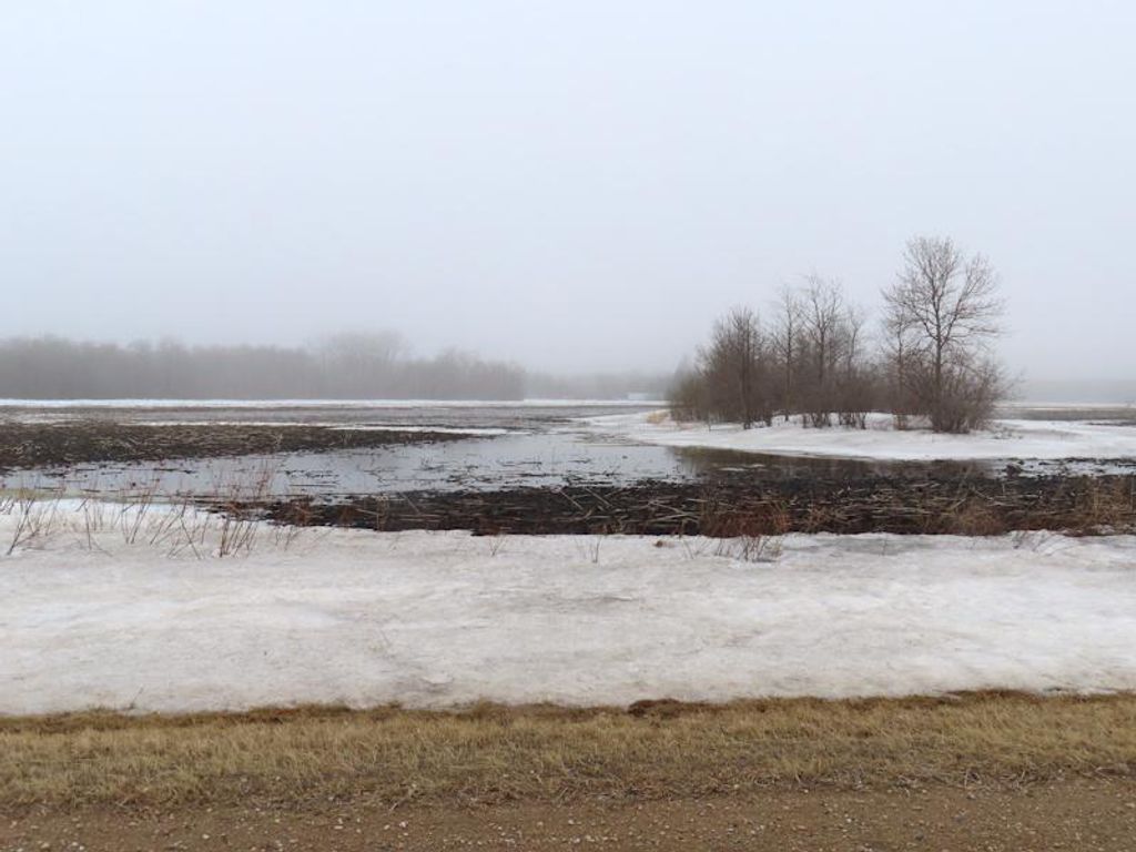 Photo of TBD 180th Street NW, Thief River Falls, MN 56701 (MLS # 7040650)