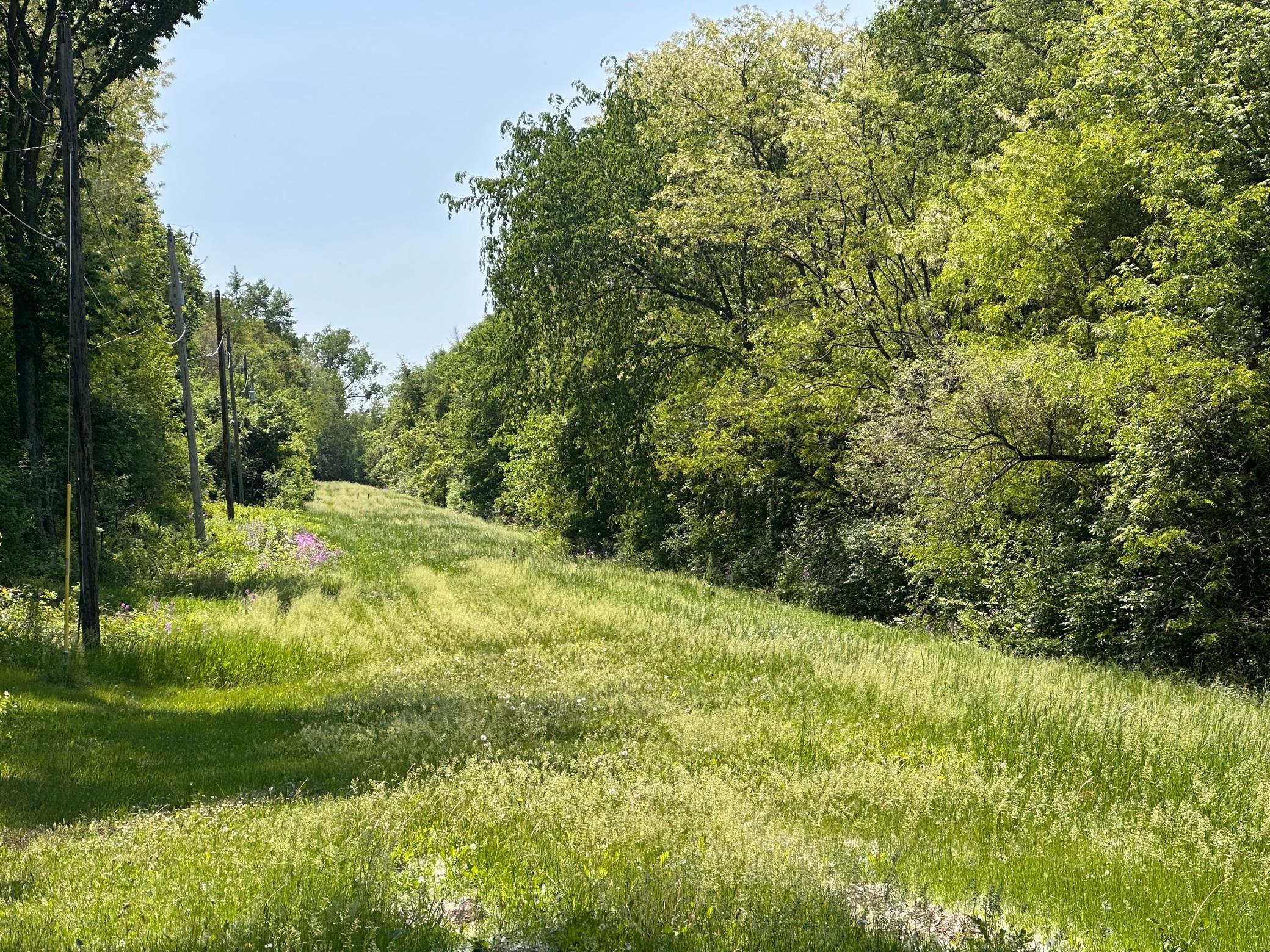 Photo 1 of 4 — TBD Pullman Avenue, Saint Paul Park, MN 55071