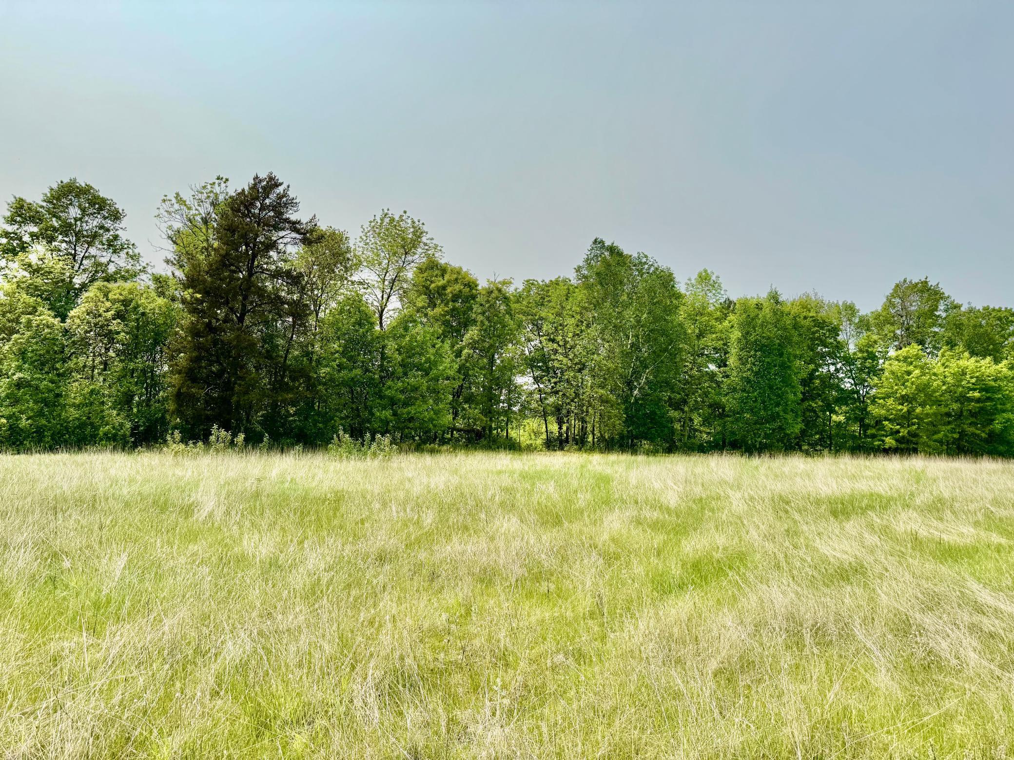 2320 Prairie View Court