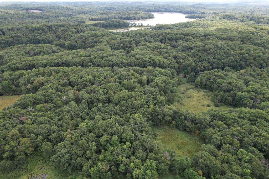 Photo of TBD 335th Avenue, MN 56443 (MLS # 7129327)