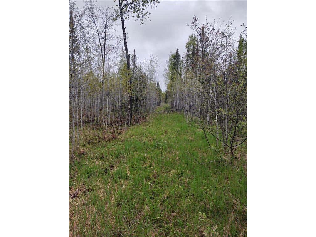 Photo of TBD Vermilion Trail, Makinen, MN 55763 (MLS # 7096831)