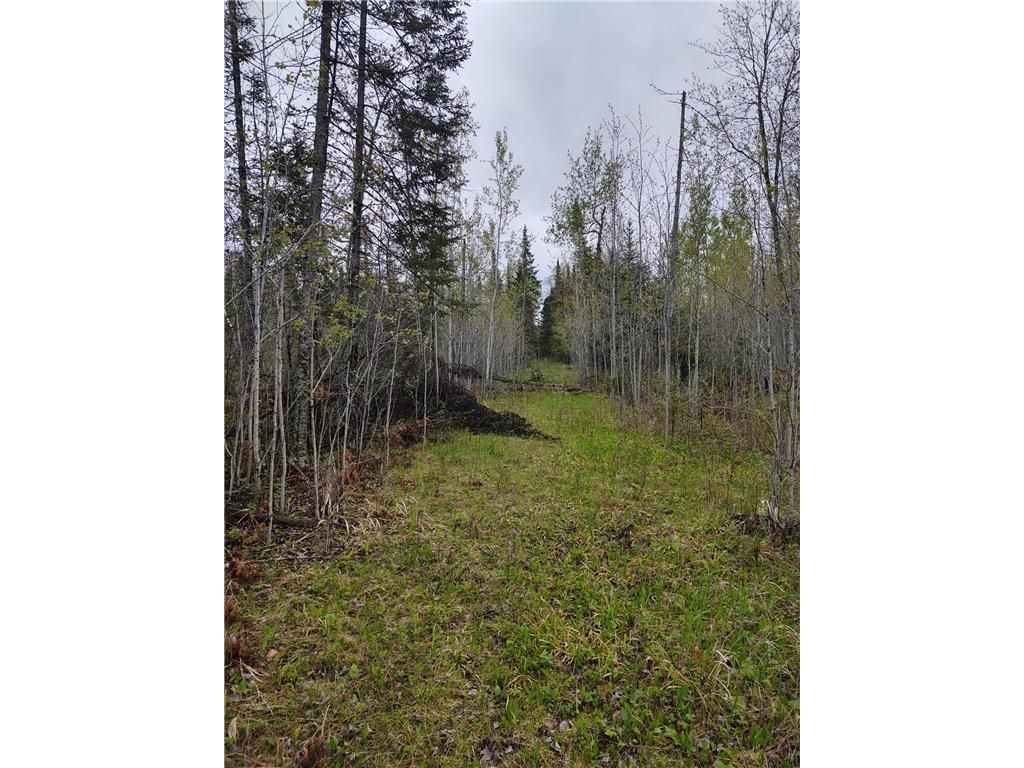 Photo of TBD Vermilion Trail, Makinen, MN 55763 (MLS # 7096831)