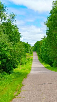 N3860 KOSTKA RD, LADYSMITH, WI 54848 - Image c84cd4fa28136134dd67eea88c81aad9/2443380869