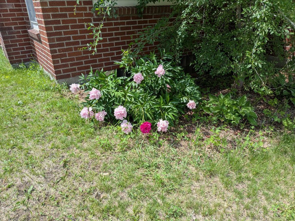 Photo of 705 Marshall Avenue, Henning, MN 56551 (MLS # 7090555)