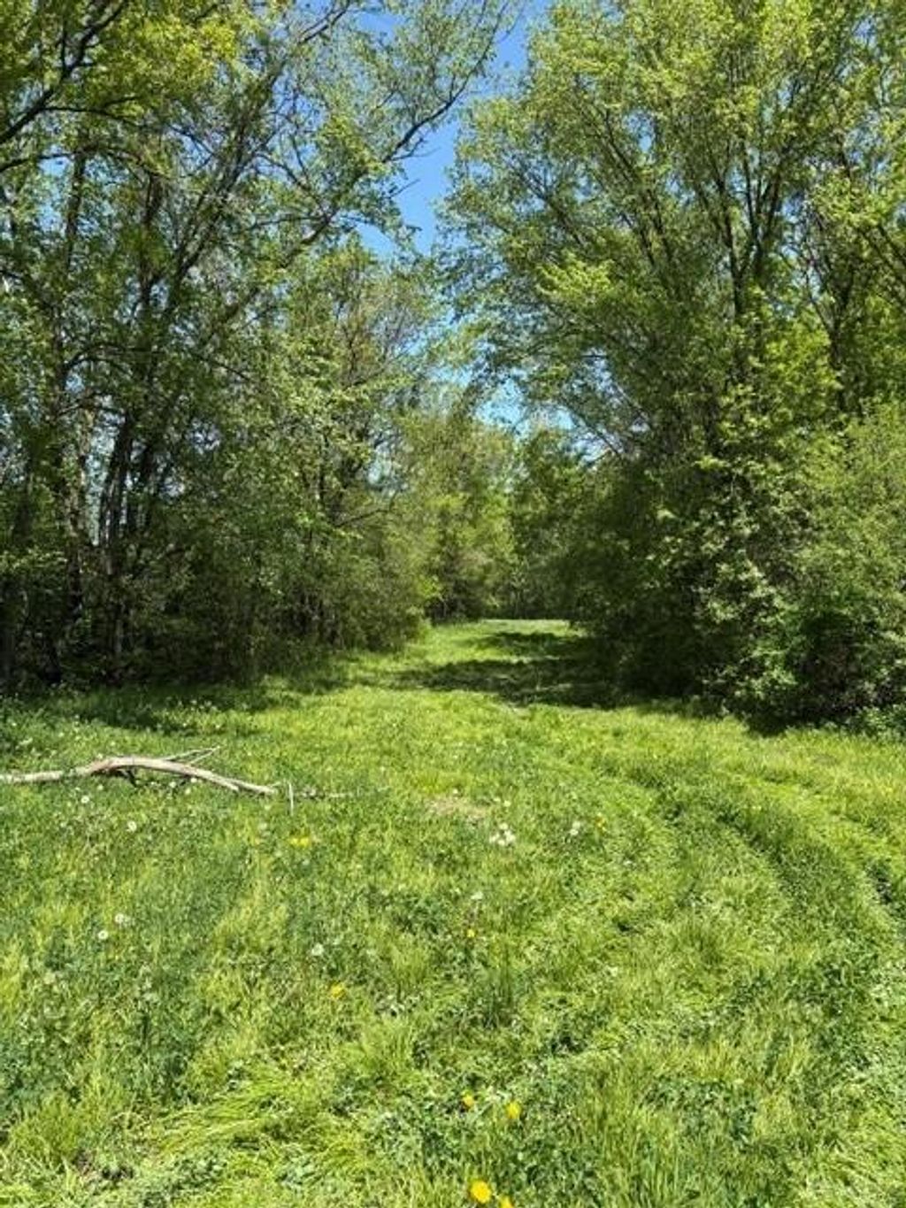 Photo of TBD Highway 55, Rockford, MN 55313 (MLS # 7073717)