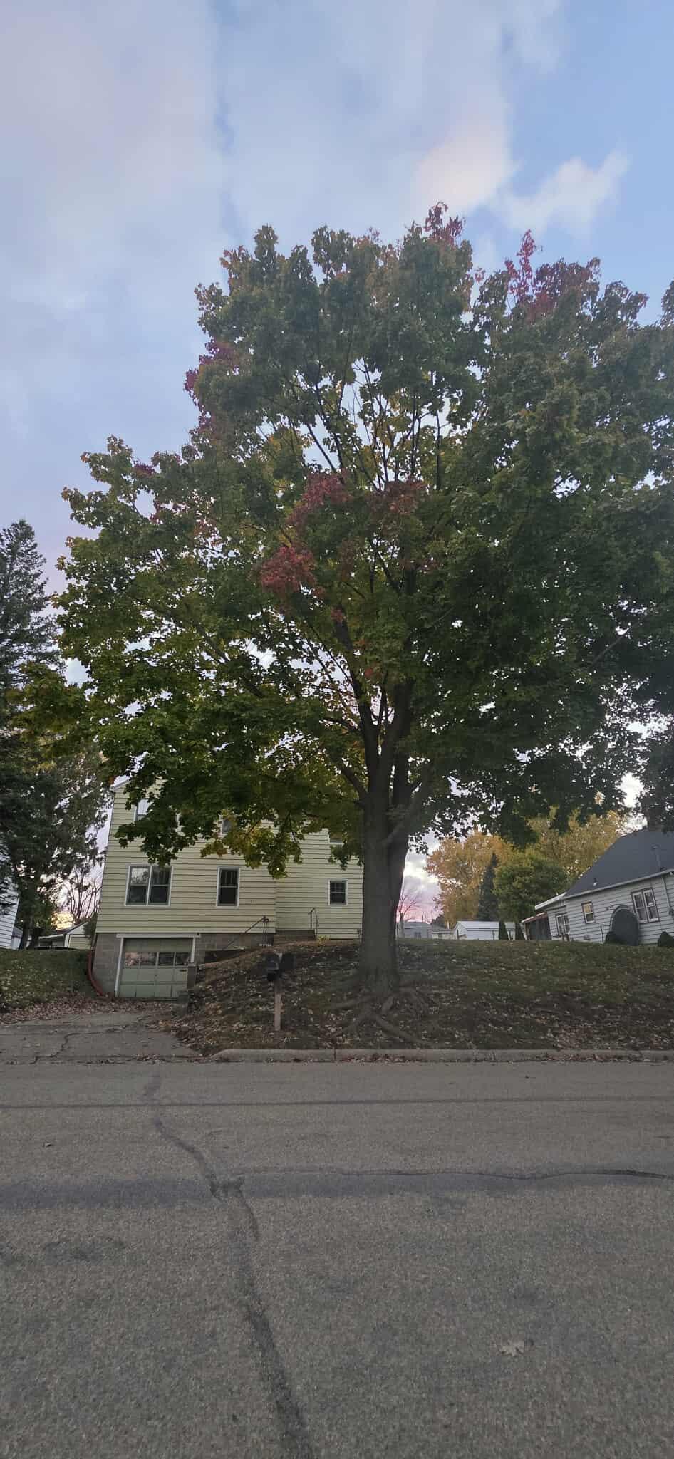 1420 Frank Hall Drive