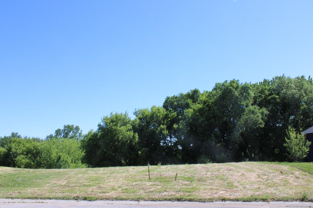 Photo of 1359 Southfork Drive SE, Hutchinson, MN 55350 (MLS # 7092534)