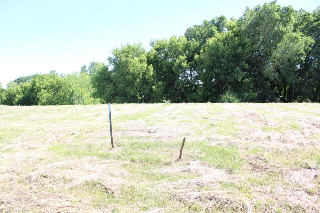 Photo of 1359 Southfork Drive SE, Hutchinson, MN 55350 (MLS # 7092534)