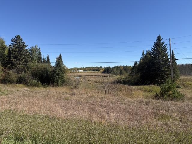 Photo of TBD Nett Lake Rd, Orr, MN 55771 (MLS # 7162845)
