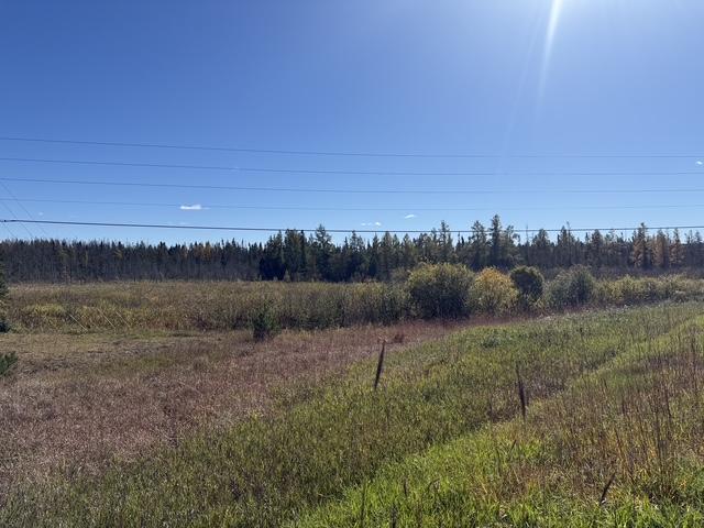 Photo of TBD Nett Lake Rd, Orr, MN 55771 (MLS # 7162845)