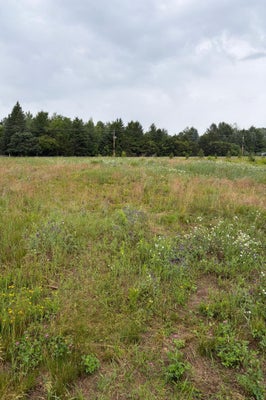 825 174TH AVE NE, ANDOVER, MN 55304 - Image c995ee3fe2424f0280f6b8e65a9c81ef/1757053815