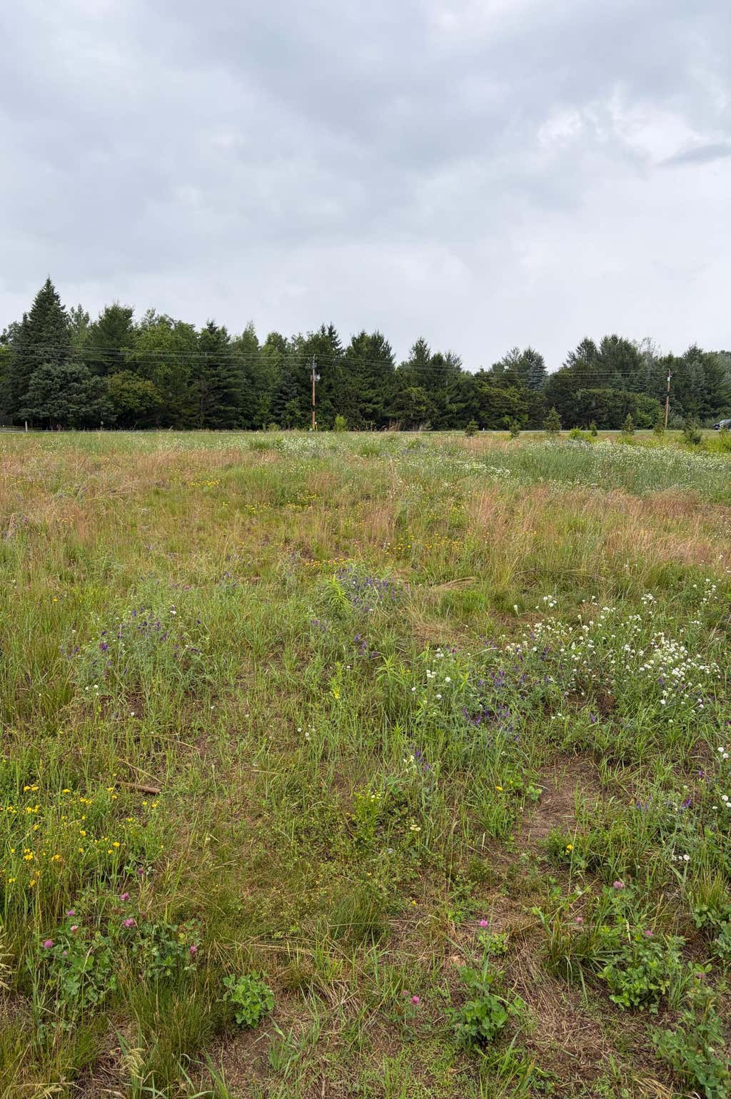Photo of 825 174th Avenue NE, Ham Lake, MN 55304 (MLS # 7124092)