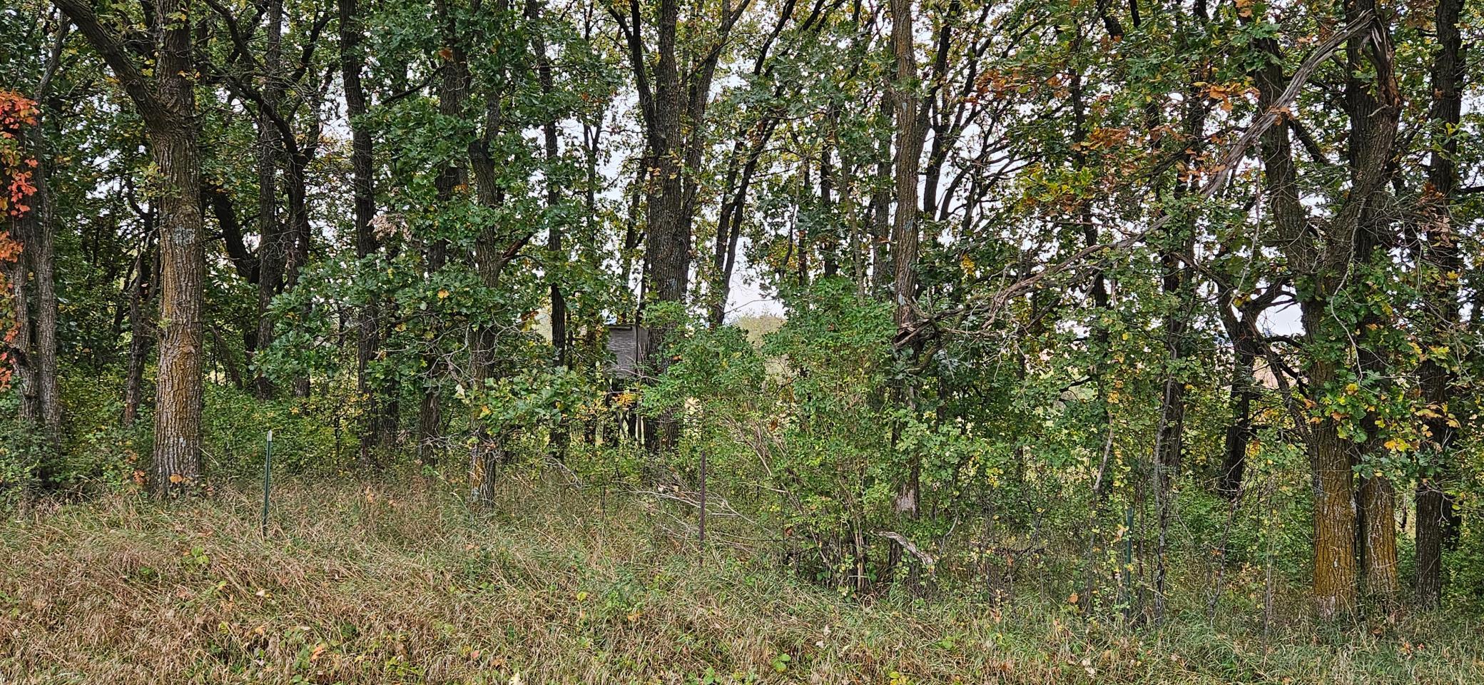 tbd County Highway 127