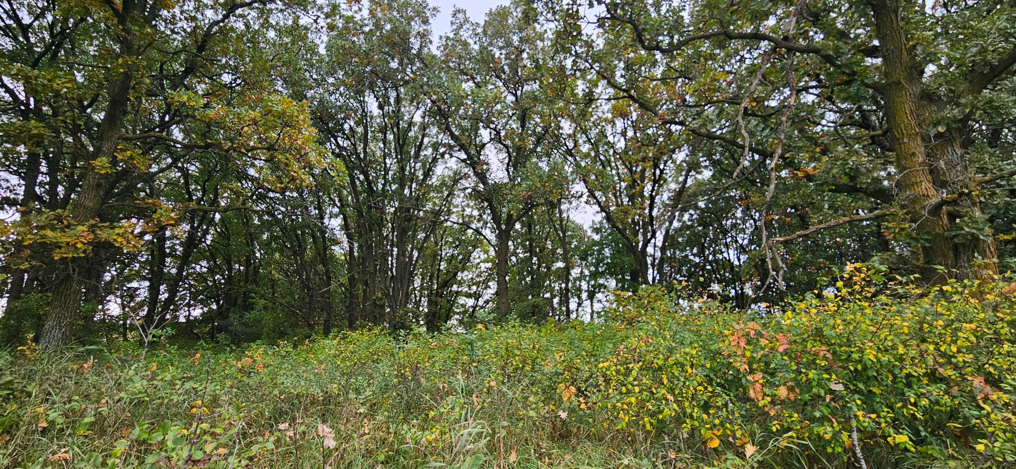 tbd County Highway 127