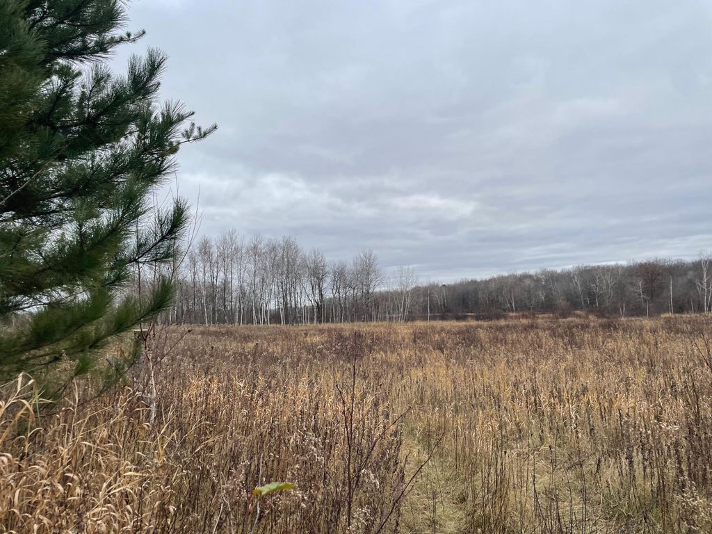 Photo of TBD (Parcel C) Olson Road, Hinckley, MN 55037 (MLS # 6820983)