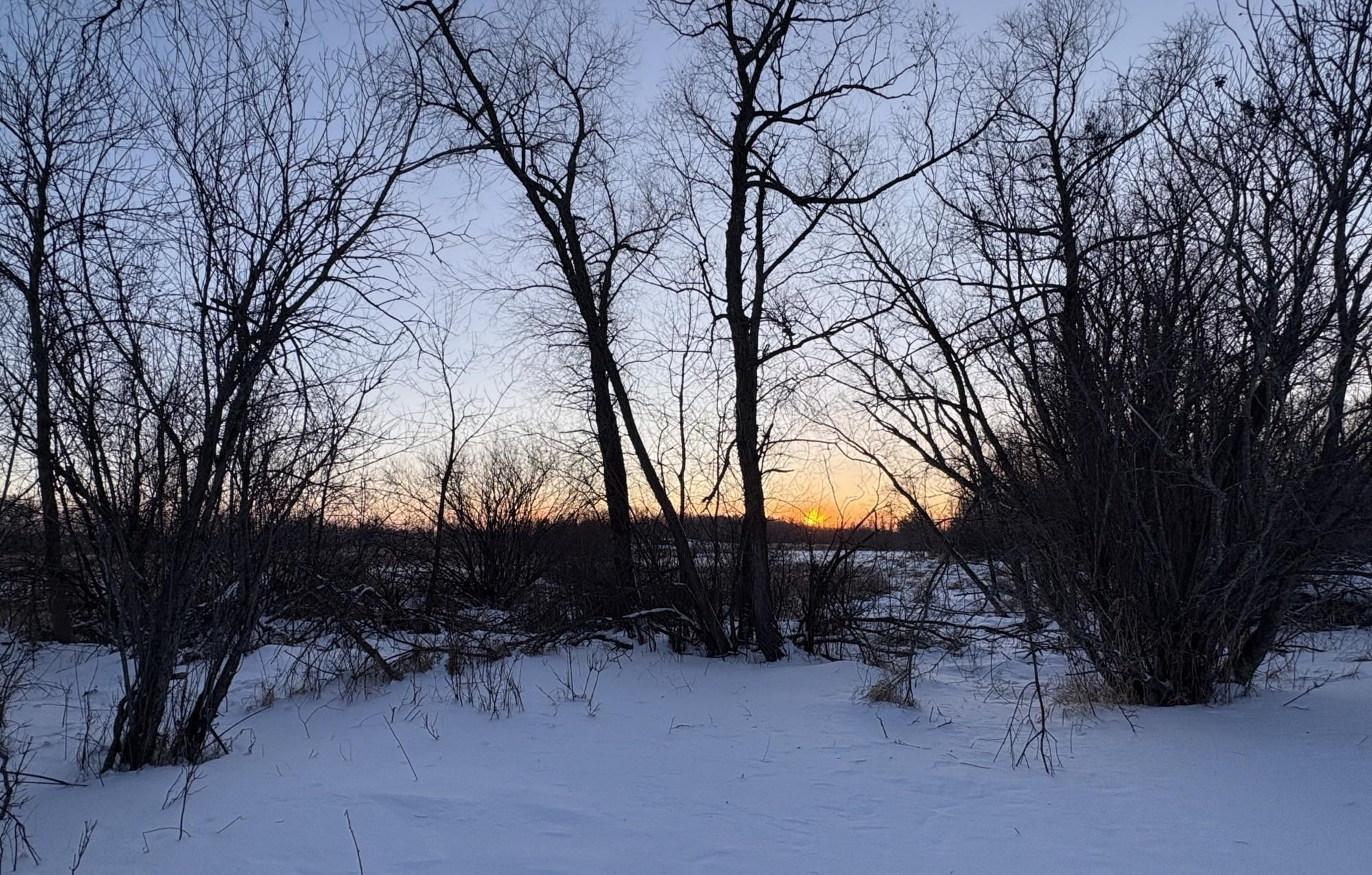 38192 Walker Lake Drive