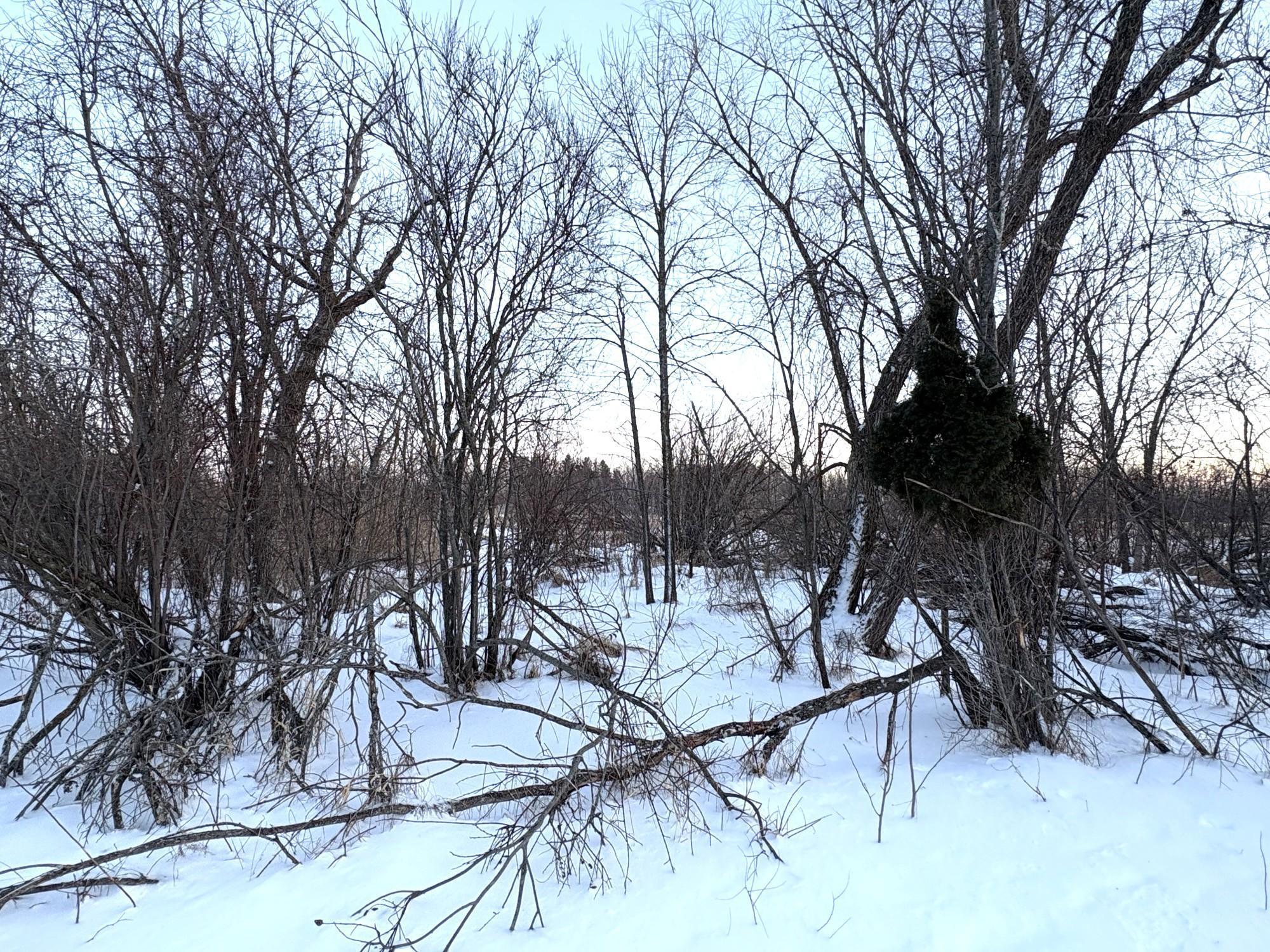 38192 Walker Lake Drive