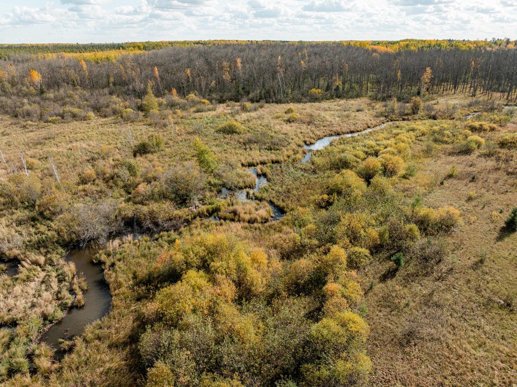 Photo of TBD Moilan Rd Road, Eveleth, MN 55734 (MLS # 7163374)