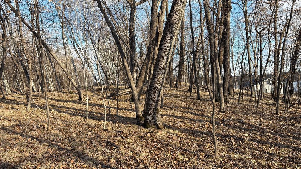 Photo of 495XX Fish Lake Rd, Pelican Rapids, MN 56572 (MLS # 7048899)