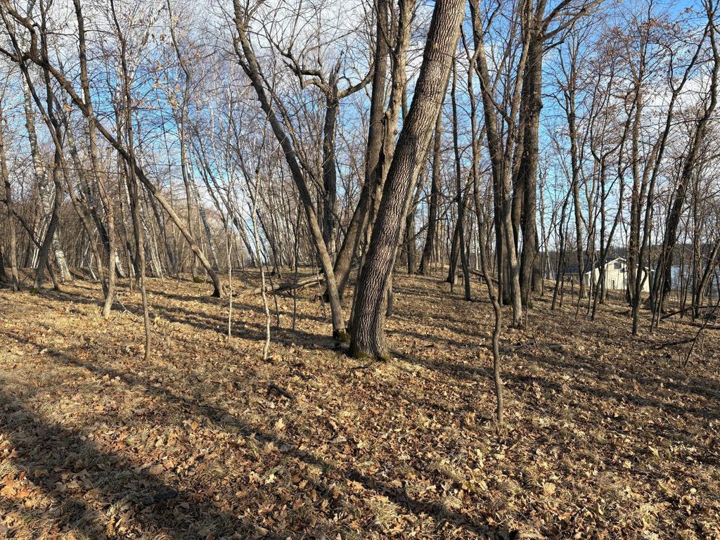 Photo of 495XX Fish Lake Rd, Pelican Rapids, MN 56572 (MLS # 7048899)