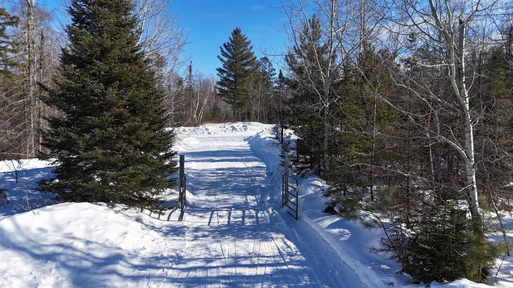 Photo of 2817 Stony Loop, Isabella, MN 55607 (MLS # 7020261)