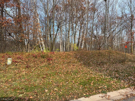 LOT 8 WILDERNESS HILLS LANE, LUCK, WI 54853 - Image cb13b4c4e033cc7b27ce9b7d65bfbd53/2087784522
