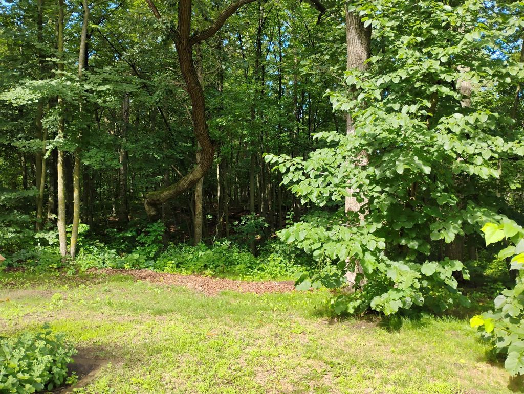 Photo of 44888 County Highway 54, Rush Lake Twp, MN 56571 (MLS # 6823577)