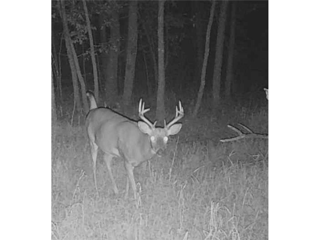 Lot 5 Butternut Road