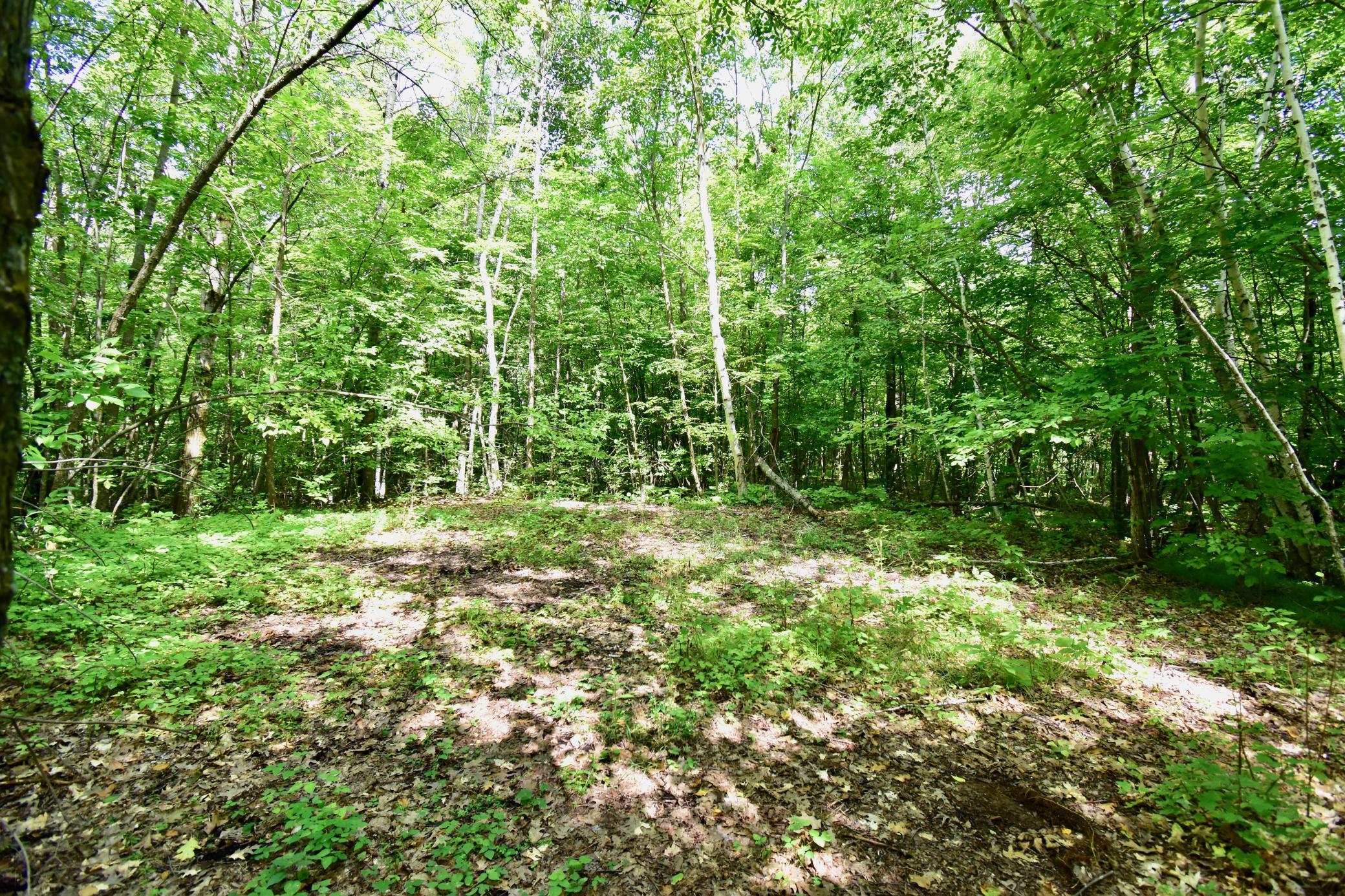 12231 Scott Lake Road