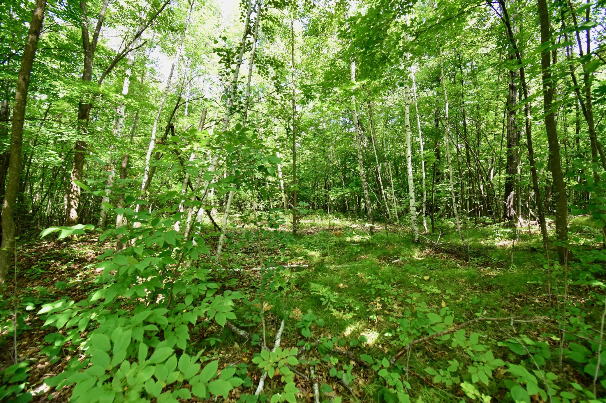 12231 Scott Lake Road