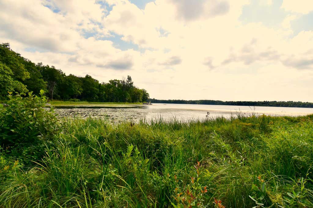Photo of 12231 Scott Lake Road, Deerwood, MN 56444 (MLS # 7132069)