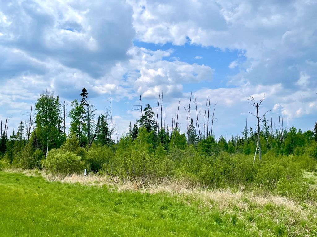 Photo of TBD N Plantangenet Road SE, Bemidji, MN 56601 (MLS # 7017220)